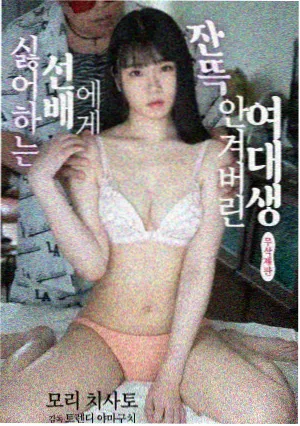 家庭剧集回声谷封面